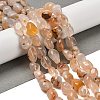 Natural Cherry Blossom Agate Beads Strands G-P497-01E-68-2
