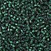 TOHO Round Seed Beads SEED-XTR08-0270F-2