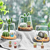 21Pcs 7 Style Resin Mini Cactus Bonsai Display Decorations AJEW-CP0005-41-5