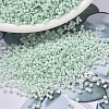 MIYUKI Delica Beads SEED-X0054-DB1506-1