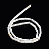 Freshwater Shell Beads Strands BSHE-L037-13-5