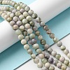 Natural Peace Jade Beads Strands G-E598-04C-1