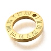 304 Stainless Steel Charms STAS-Q348-33G-2
