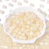 FGB Grade A Drawbench Style Glass Seed Beads SEED-Q040-10MM-13-2
