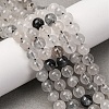 Natural Tourmalinated Quartz/Black Rutilated Quartz Beads Strands G-E558-04-6mm-5