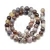 Natural Botswana Agate Beads Strands G-S150-24-6mm-2