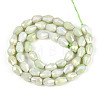 Anti-Tarnish Electroplate Glass Beads Strands GLAA-T025-13A-04-2