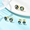 3 Pairs Flat Round Natural Paua Shell Stud Earrings for Women EJEW-JE07126-1