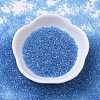 MIYUKI Delica Beads SEED-MY11-DB0113-2