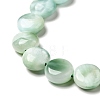 Natural Glass Beads Strands G-I247-33C-4