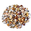 Natural Crazy Agate Tumbled Chips PW-WGA7DCE-26-1
