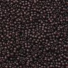 TOHO Round Seed Beads X-SEED-TR11-0006CF-2