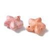 Natural Rainbow Alashan Agate Charms LS-G-G194-02D-2