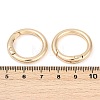 Alloy Spring Gate Clasps X-FIND-H012-05KCG-3