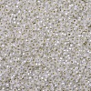 MIYUKI Round Rocailles Beads SEED-G007-RR1901-3