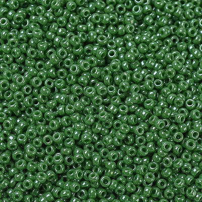 MIYUKI Round Rocailles Beads X-SEED-G007-RR0431-1