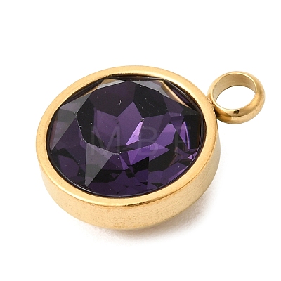 Birthstone Theme February 304 Stainless Steel Pendants STAS-K239-01G-A02-1