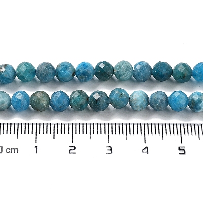 Natural Apatite Beads Strands G-J400-E01-04-1