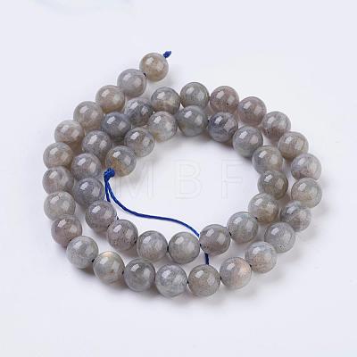 Natural Labradorite Beads Strands X-G-G212-8mm-23-1