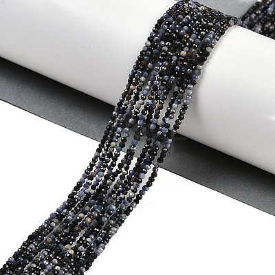 Natural Sapphire Beads Strands G-P553-G07-01-1