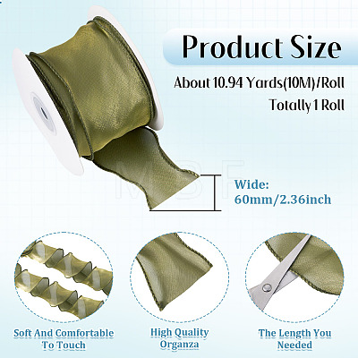 Polyester Mesh Ribbon SRIB-TAC0002-29A-02-1
