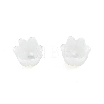 Natural White Shell Bead Caps SSHEL-G024-03A-1