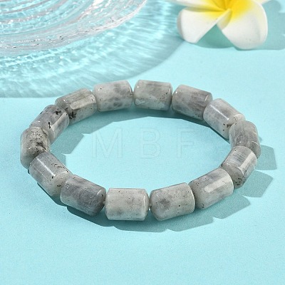 Column Natural Labradorite Beads Stretch Bracelets for Women Men BJEW-A148-01A-24-1