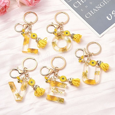 Resin & Alloy Enamel Keychain X1-KEYC-YW00134-01-1