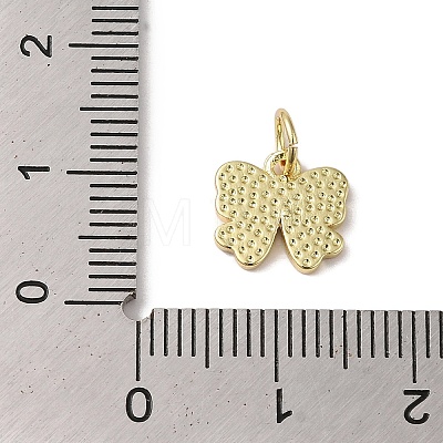 Rack Plating Brass Enamel Charms KK-B092-13G-03-1