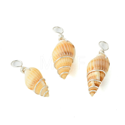 Natural Spiral Shell Pendants PALLOY-JF02793-02-1