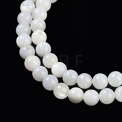 Natural Freshwater Shell Beads Strands BSHE-H109-03B-1