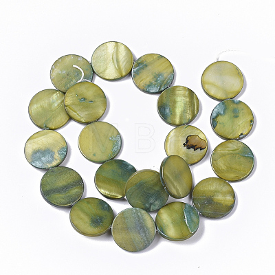 Freshwater Shell Beads Strands SHEL-T014-011D-1