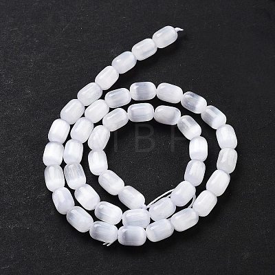 Natural Selenite Beads Strands G-F750-B-01-1