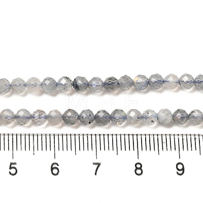 Natural Rainbow Moonstone Beads Strands G-R475-025D-1