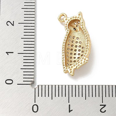 Rack Plating Brass Micro Pave Cubic Zirconia Pendants KK-L224-056G-1