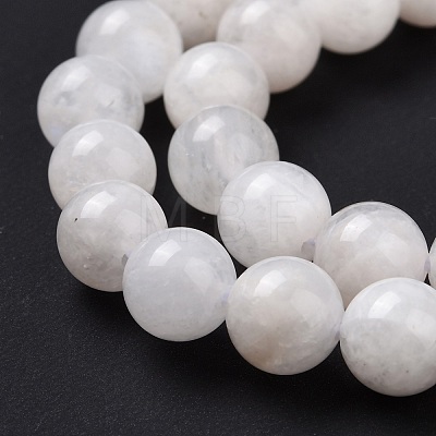 Natural Moonstone Round Beads Strands G-P088-57-10mm-1