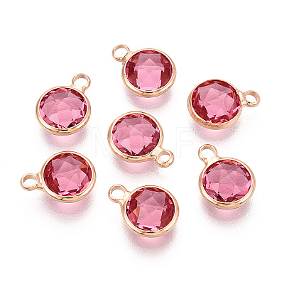 Golden Tone Brass Glass Charms X-GLAA-ZX008-24J-G-1