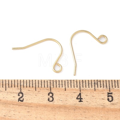 316 Surgical Stainless Steel Earring Hooks STAS-Z124-02C-G-1