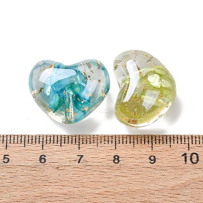 Transparent Resin & Dyed Natural Shell Beads RESI-G119-09-1