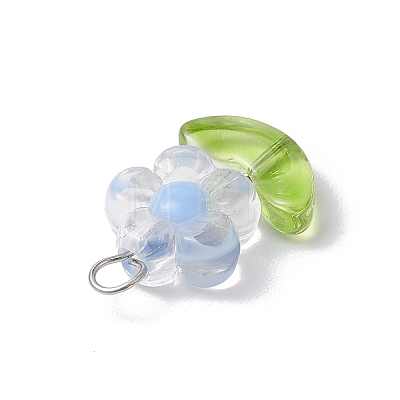 Transparent Acrylic Pendants PALLOY-JF03713-01-1