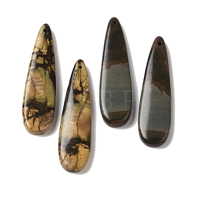 Natural Picasso Jasper Pendants G-Q161-08A-1