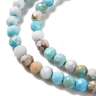Natural Howlite Beads Strands G-C025-02A-07-1