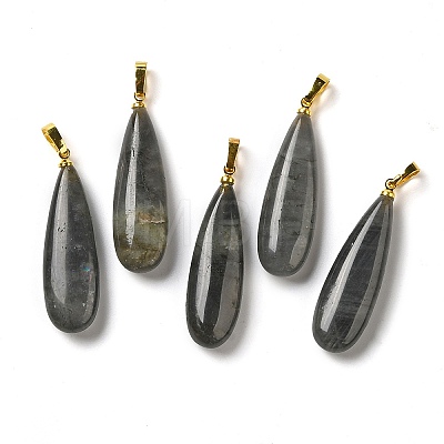 Natural Labradorite Pendants G-Q192-07G-06-1