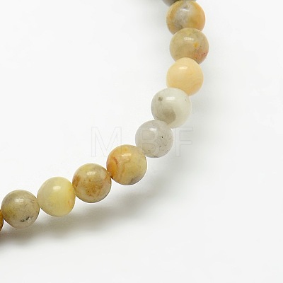 Round Natural Crazy Lace Agate Beads Strands G-P058A-01-1