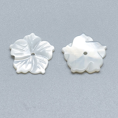 Natural White Shell Beads SSHEL-S260-008-1
