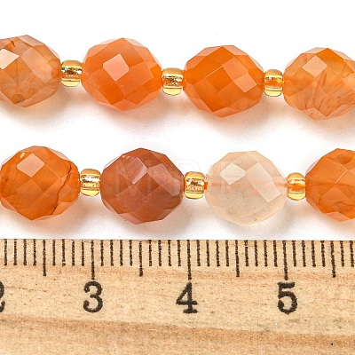 Natural Orange Botswana Agate Beads Strands G-N342-40-1