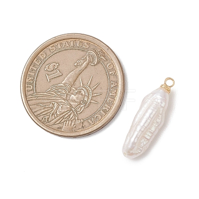 Natural Baroque Pearl Keshi Pearl Pendants PALLOY-JF04777-01-1