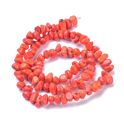 Natural Magnesite Beads Strands TURQ-P001-02A-10-1