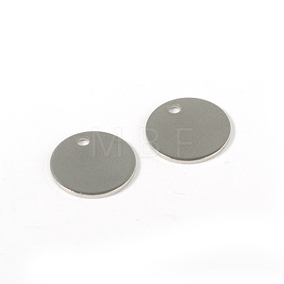 304 Stainless Steel Charms STAS-G130-06P-1