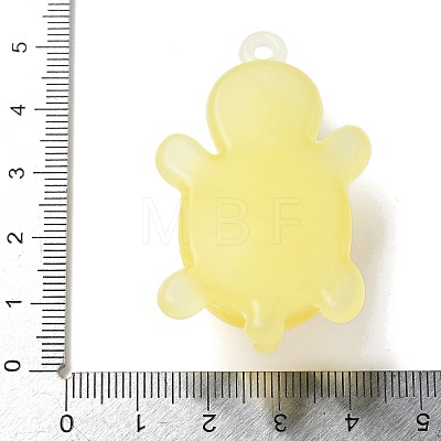 Luminous PVC Pendants KY-P019-01E-1